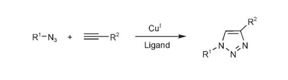 Figure 1. Copper-Catalyzed Azide–Alkyne Cycloaddition