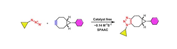 Figure 4. SPAAC reaction of bicyclo[6,1,0]nonyne (BCN) with azide