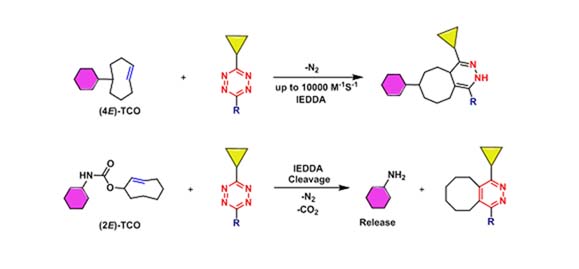 Figure 5. iEDDA reaction of trans-cyclooctene (TCO) and S-tetrazine (Tetrazine)