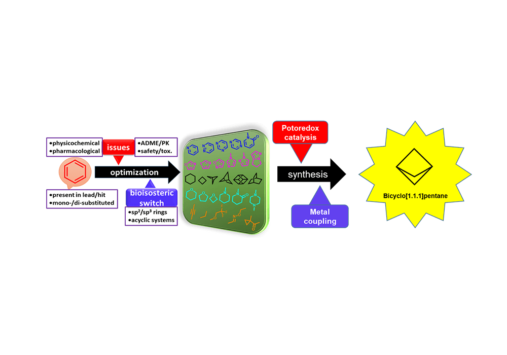 Figure 1. the common bioisosteric substitution of phenyl ring 3, 4