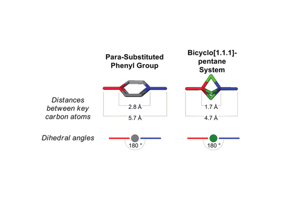 Figure 2. phenyl ring and BCP molecular model